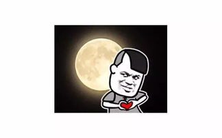 表情有哪些图片会让你想到一句歌词