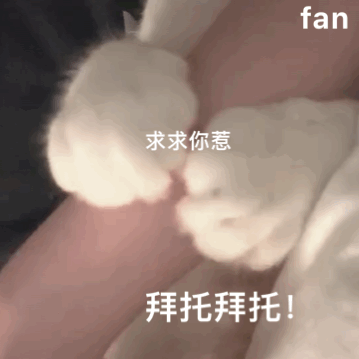 表情包满眼爱意