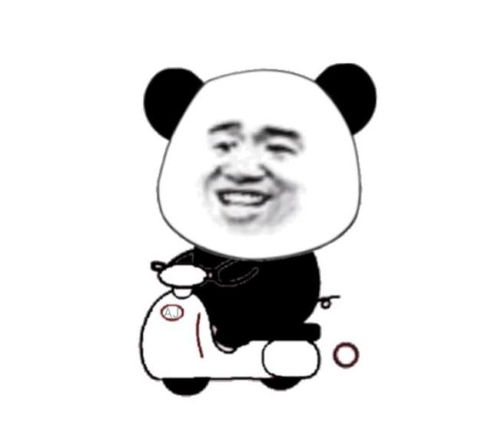搞笑动图表情包高清段子