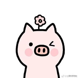 搞笑可爱的表情包猪猪