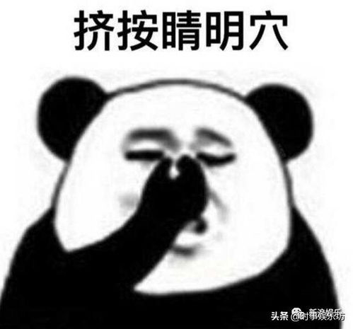 秦昊一个有趣的中年男人