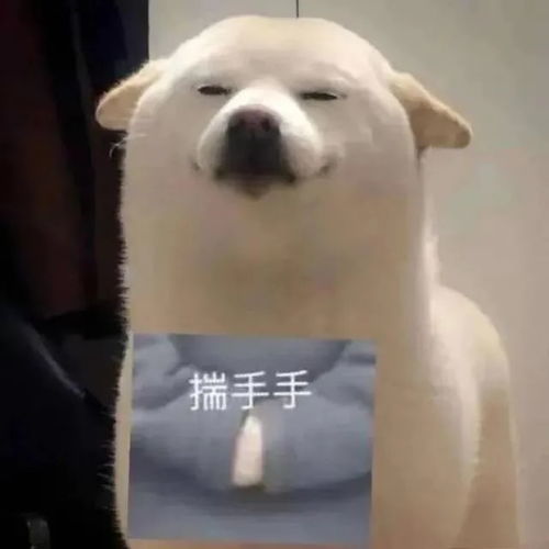 搞笑表情包,嗷呜,别惹我我要准备生气了啦