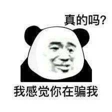 杂图表情包聊天最好用没人反对吧
