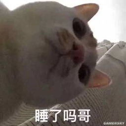 没有女朋友的感觉透心凉清纯福利的搞笑囧图