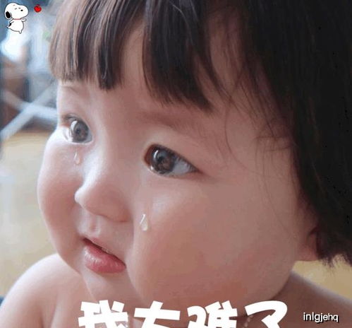 太难了表情包搞笑罗熙