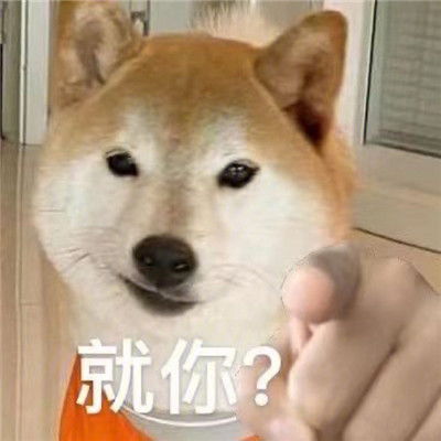 2021最新版狗狗指人表情大全狗狗爆笑的聊天表情合集