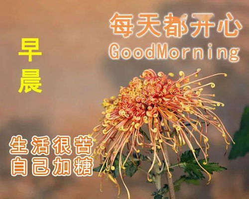 2020非常漂亮的秋日早上好动态唯美问候表情图片微信最美问候朋友早上好温馨祝福语句