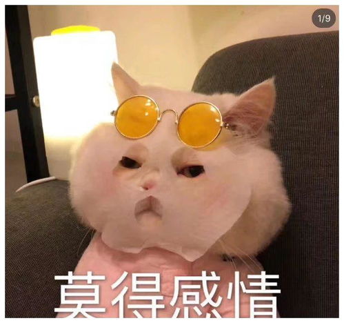 搞笑gif你给我站住,砸了我还想跑,我非还回来不可