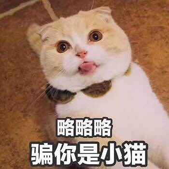 是什么让撒哈拉干皮变光亮婴儿肌