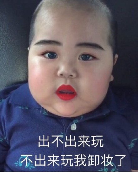 喵咪表情包,拿走不谢