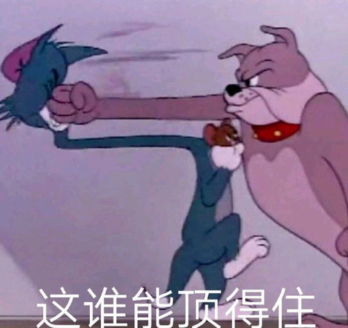 可爱搞笑表情包仙女要有仙女的样子,这谁能顶的住