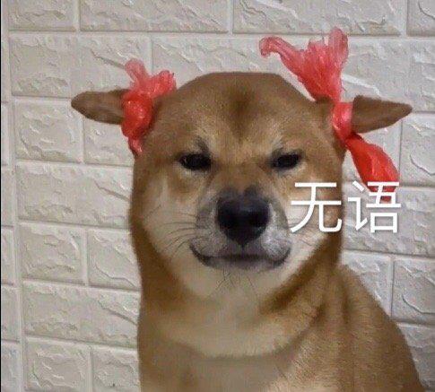 gif动图沙雕又搞怪的朋友圈文案