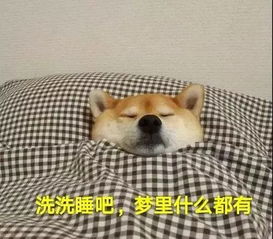 暑假送走孩子的家庭宛如度蜜月,送不走孩子的家庭就像熬斋月小孩