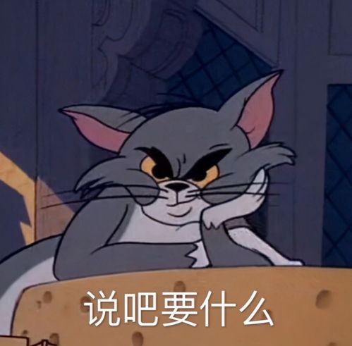 表情包搞笑沙雕gif猫和老鼠