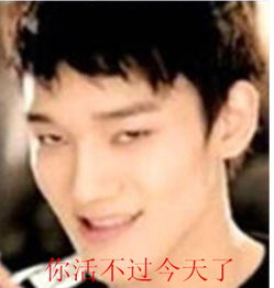 exo,搞笑,来自沉迷金钟大的图片分享堆糖