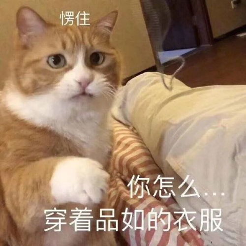 搞笑留言大全,笑料十足,专治不开心