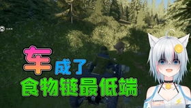 猎人荒野的召唤战利品陈列室展示