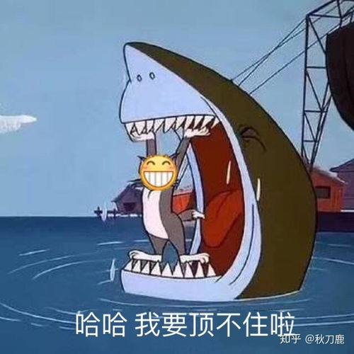 有哪些适合跟老婆聊天用的表情包