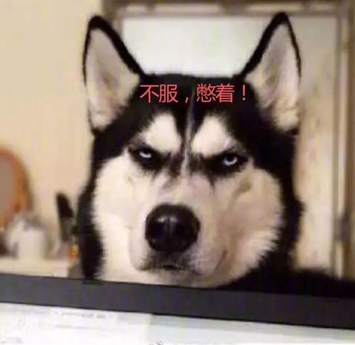 2018年即将过半,火遍朋友圈的单身狗都结婚生崽了,你呢