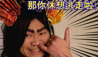 谁知道那有有趣的qq表情
