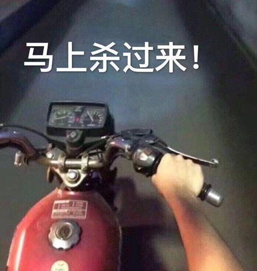 搞笑gif开心一刻妹子你胆子真大