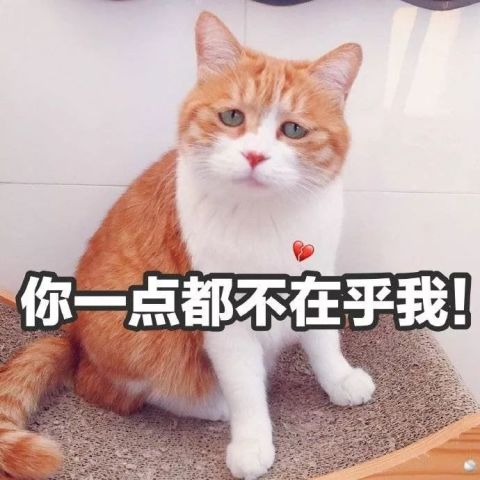 你要努力成为对的人