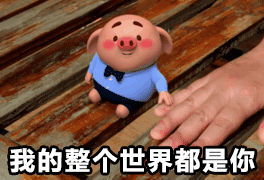 猪小屁表情包无水印高清版