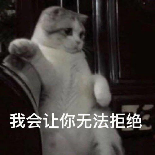 沙雕表情我会让你无法拒绝