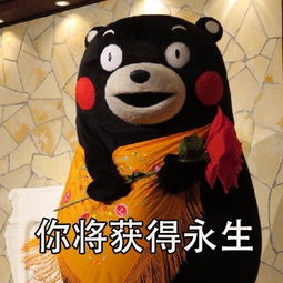 听说熬夜的人会长命百岁