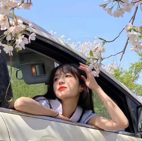 5.24精选女头
