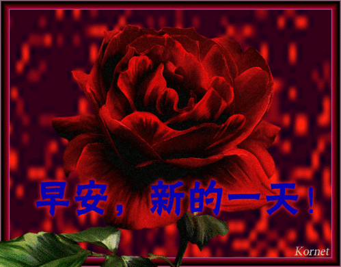 中老年表情包吃了吗和我一起做早操