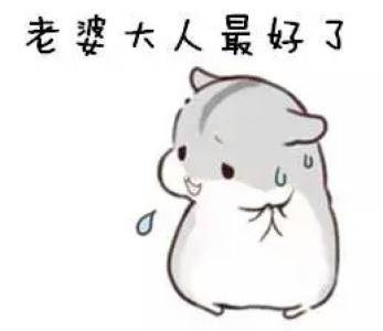 哄老婆表情包大全老婆大人对不起好喜欢老婆我老婆超级可爱