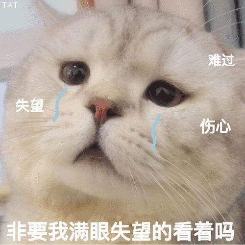 不会骑车能马上学会骑电动车不