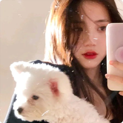 女生头像丨头像女生森系ins仙气