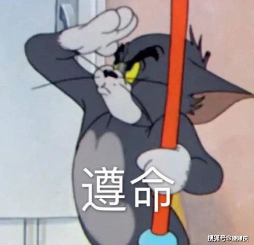 搞笑表情包图片可爱如你,给个机会