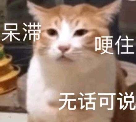 论直女穿越到退婚现场的重要性