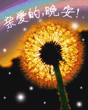 晚安祝福语动态图片晚安问候语大全