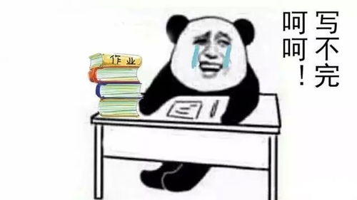学区搞笑段子,高能人士可用拿走