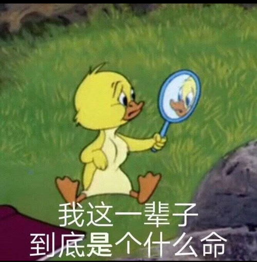 表情包配字搞笑文案沙雕