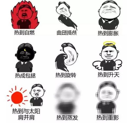 设计师的工资决定了你的避暑方式,请自觉对号入座