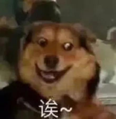 观众缘得好到什么程度,才能跟男孩子牵手上热搜也不被嘲