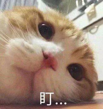沙雕搞笑表情包baby,今晚出来耍