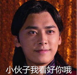 李易峰表情包带字大全峰峰搞笑表情包