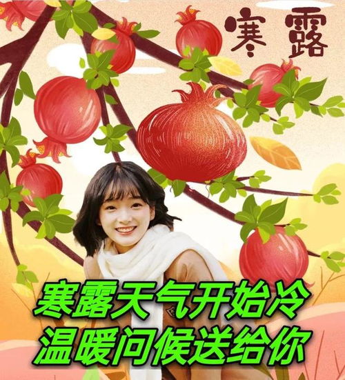 2024年10月08日周二寒露节气一滴寒露送秋凉,一声关切暖心房,天气渐凉,祝愿安康