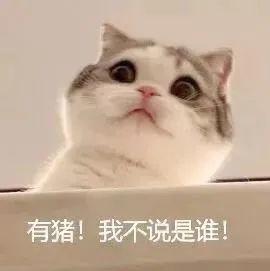 微信搞笑表情包这是小猫咪能看的吗