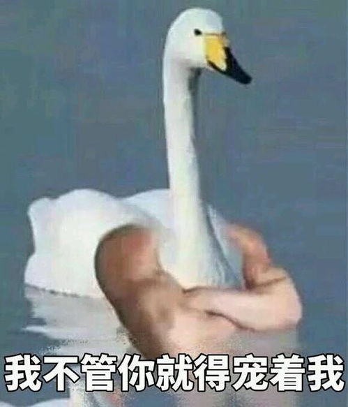 仙女们帮我出出主意,我在外租房被辅导员发现了