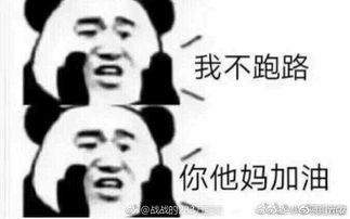 搞笑表情包视频表情