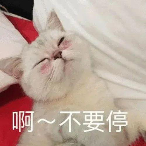 2022搞笑表情包你走吧