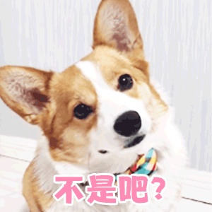 一脸懵的表情包动态蛤有点懵了,这是什么情况,容我想想
