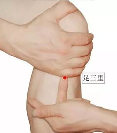 人过三十天过午,男士艾灸养生大全为他收起来吧